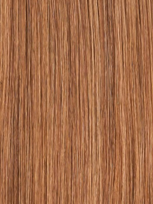 Color 24BT18 = Blonde Éclair: Dk Ash Brown & Honey Blonde Blend, w/ Honey Blonde Tips